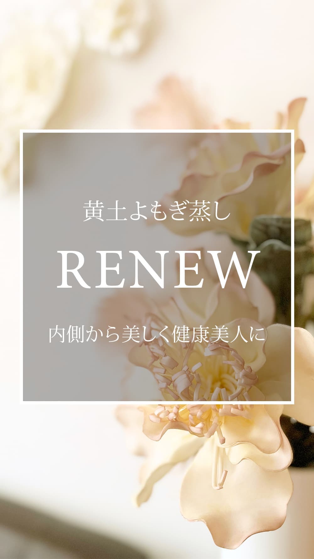 青葉台・藤が丘の黄土よもぎ蒸しサロンRENEW